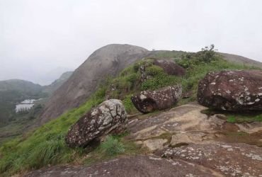  Swiss Dale Residency