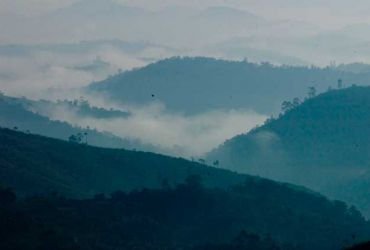  Swiss Dale Residency