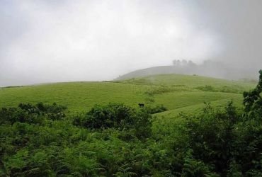  Swiss Dale Residency