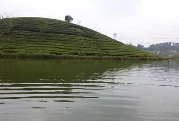  Swiss Dale Residency